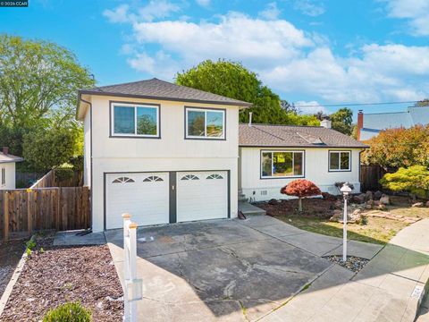 Photo of 19147 Christensen Ct Ct, Castro Valley, CA 94546 (MLS # 41128622)