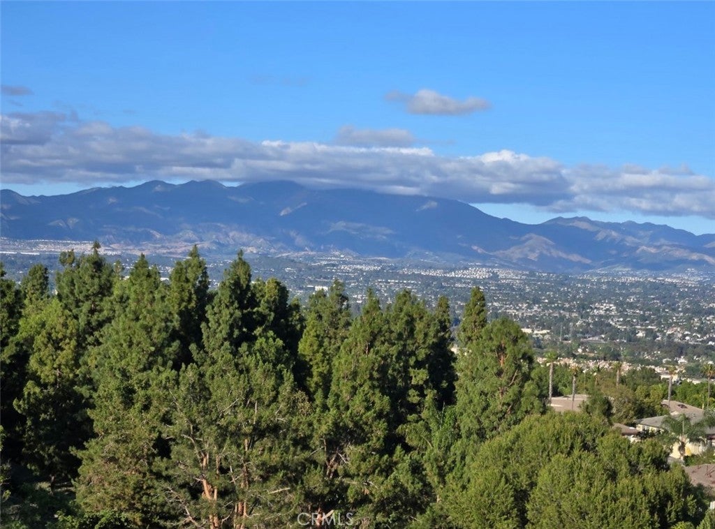 30 Groveside Drive, Aliso Viejo CA 92656 - Photo 48