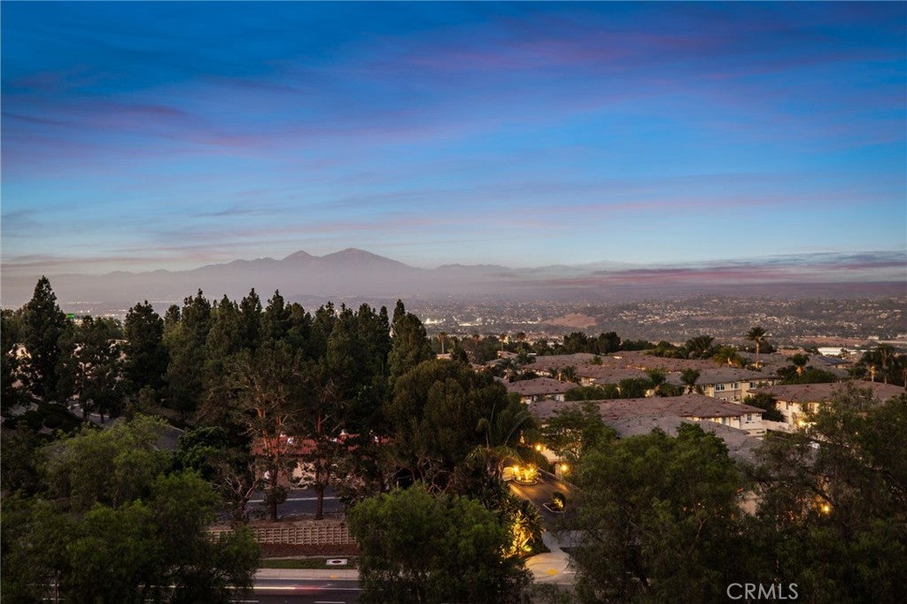 30 Groveside Drive, Aliso Viejo CA 92656 - Photo 49