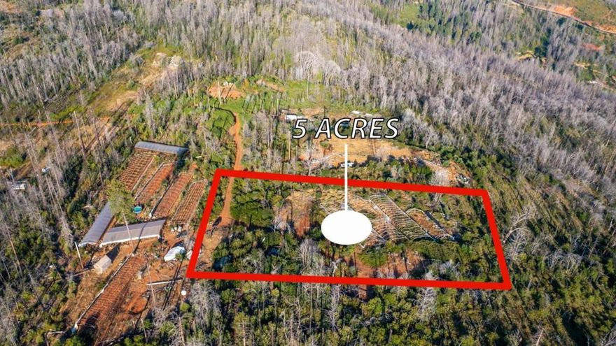 "Price just reduced! Seller is motivated and open to reviewing all offers. Don't miss this opportunity.!!!! Discover the perfect opportunity to own 5 acres of serene, private land in Berry Creek, CA! Nestled at 175 Bonnie Meadows Ln, this picturesque lot offers breathtaking mountain views, making it an ideal escape for those looking to build a cabin, place a trailer, or create a peaceful camping retreat. With a well already installed, this property is ready for your vision. Located just a short drive from Gold Country Casino and Lake Oroville, you'll have easy access to entertainment, outdoor recreation, fishing, and boating while still enjoying the tranquility of nature. Whether you dream of an off-grid getaway or a future home in the mountains, this lot provides endless possibilities. Don't miss this chance to own your slice of Northern California paradise!