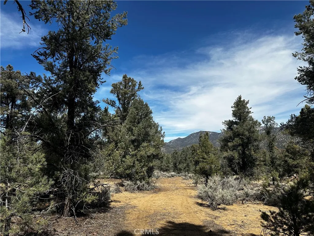 Kennedy Meadows, California 93527, United States, ,Land,Active,94275