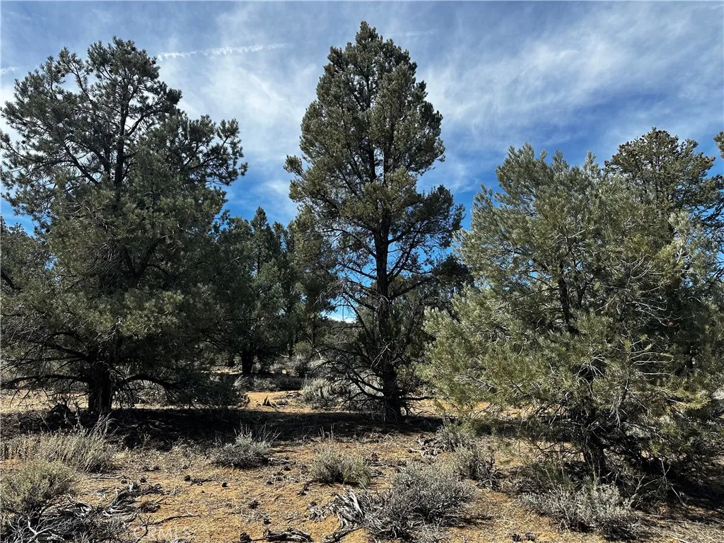 Kennedy Meadows, California 93527, United States, ,Land,Active,94275