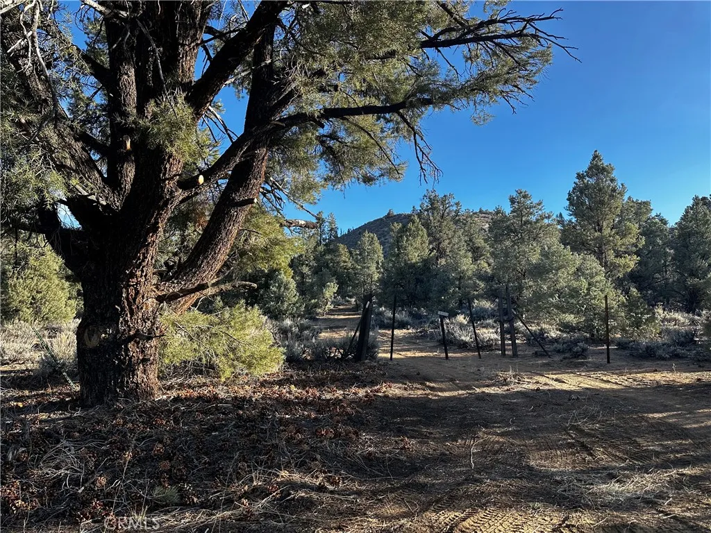 Kennedy Meadows, California 93527, United States, ,Land,Active,94275