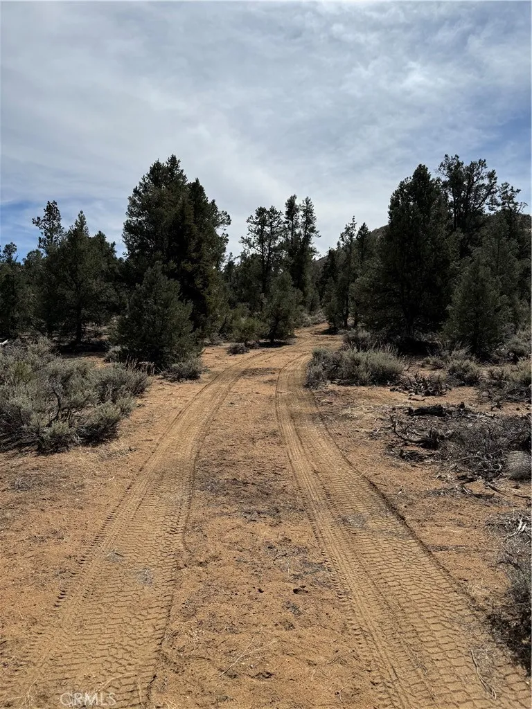 Kennedy Meadows, California 93527, United States, ,Land,Active,94275