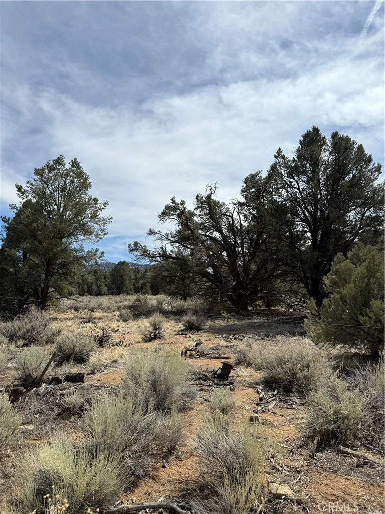 Kennedy Meadows, California 93527, United States, ,Land,Active,94275