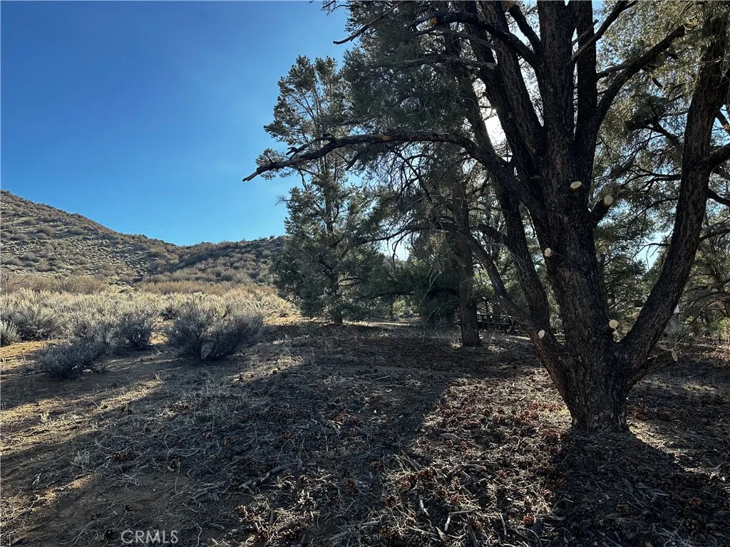 Kennedy Meadows, California 93527, United States, ,Land,Active,94275