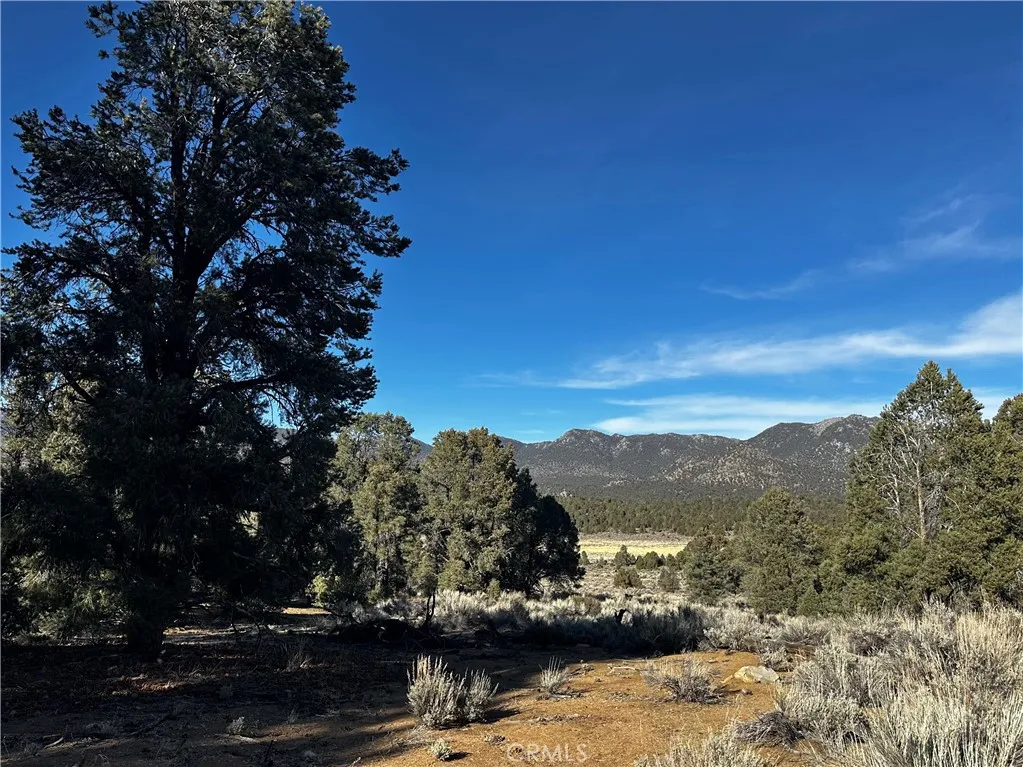 Kennedy Meadows, California 93527, United States, ,Land,Active,94275