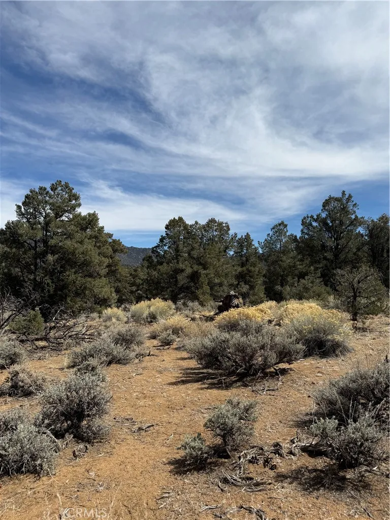 Kennedy Meadows, California 93527, United States, ,Land,Active,94275