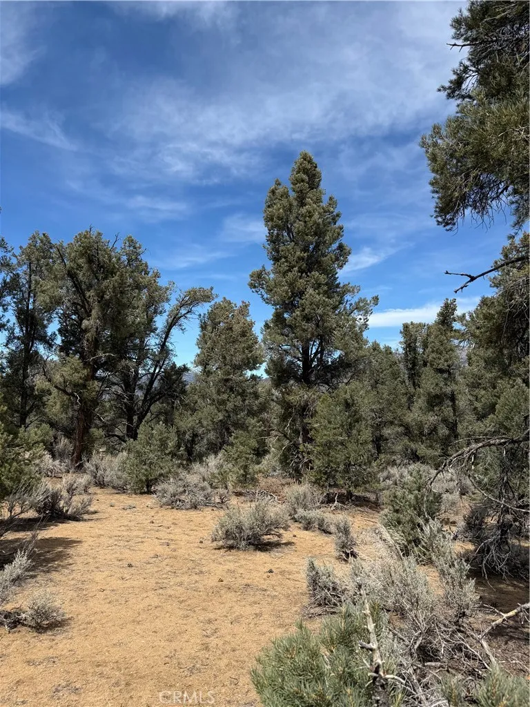 Kennedy Meadows, California 93527, United States, ,Land,Active,94275