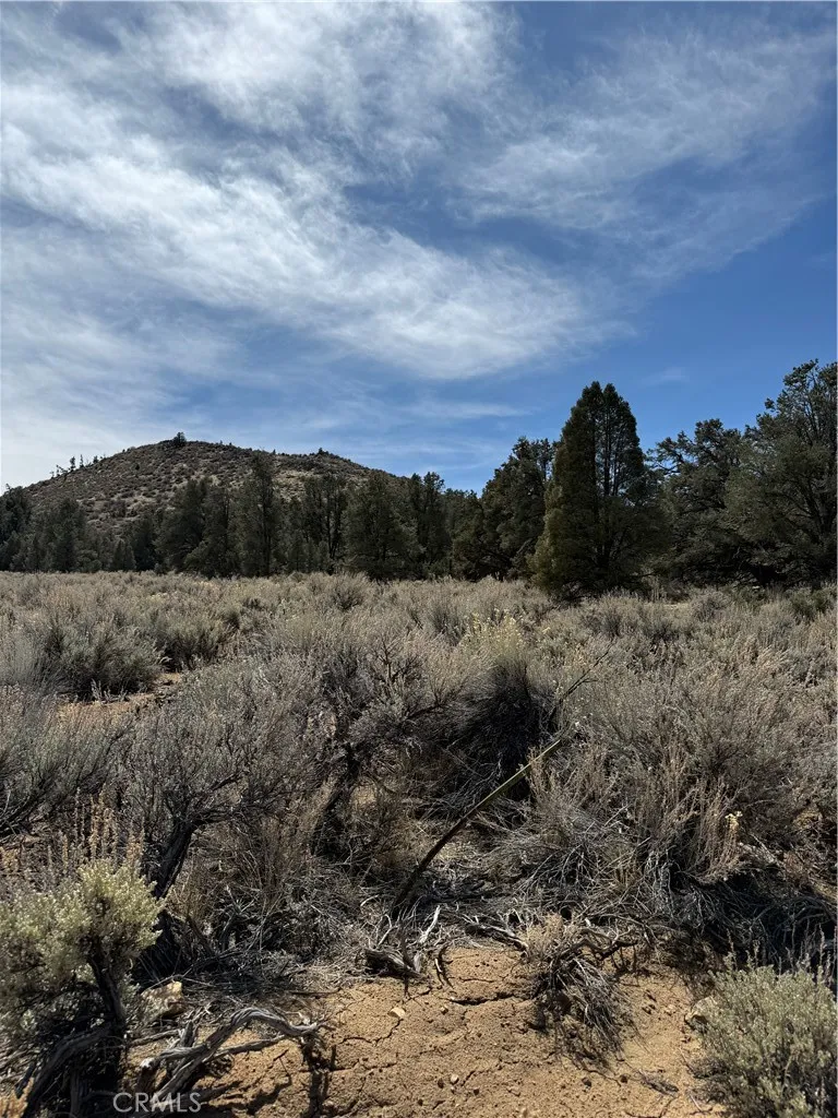 Kennedy Meadows, California 93527, United States, ,Land,Active,94275