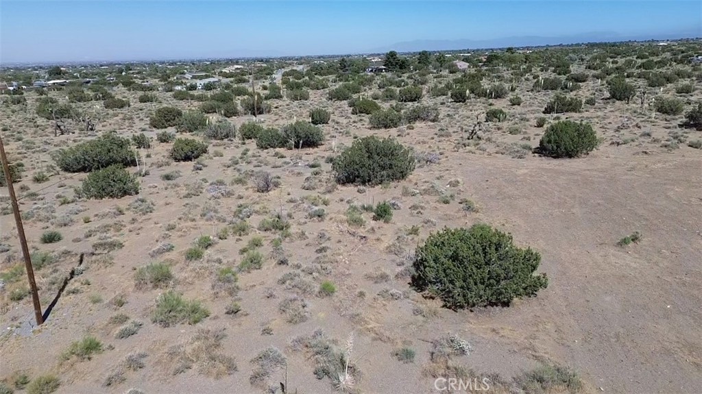 0 Coyote / Pionero Road