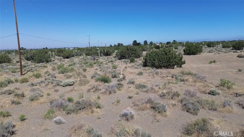 0 Coyote / Pionero Road