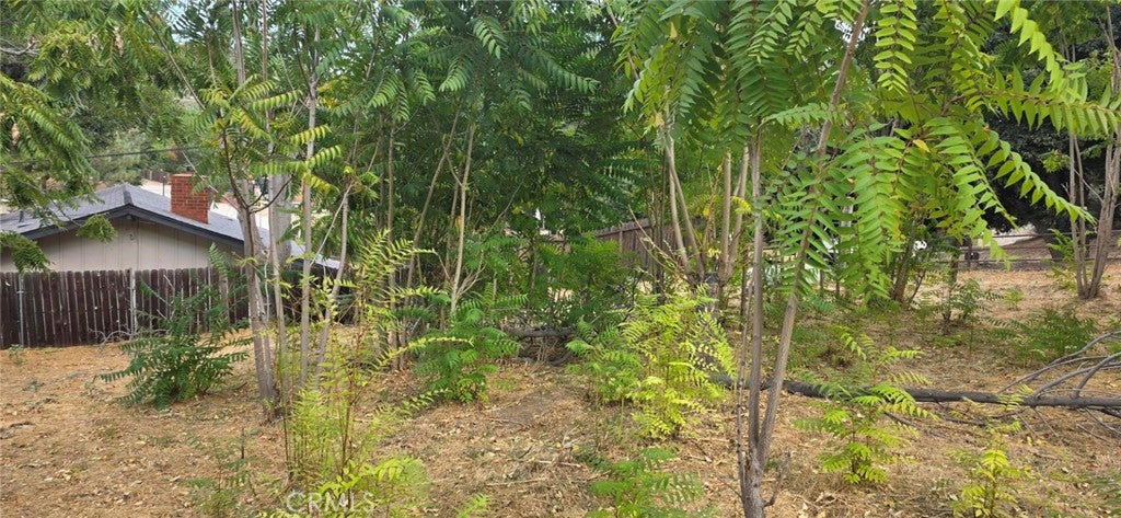 15407 Calle Maleza
