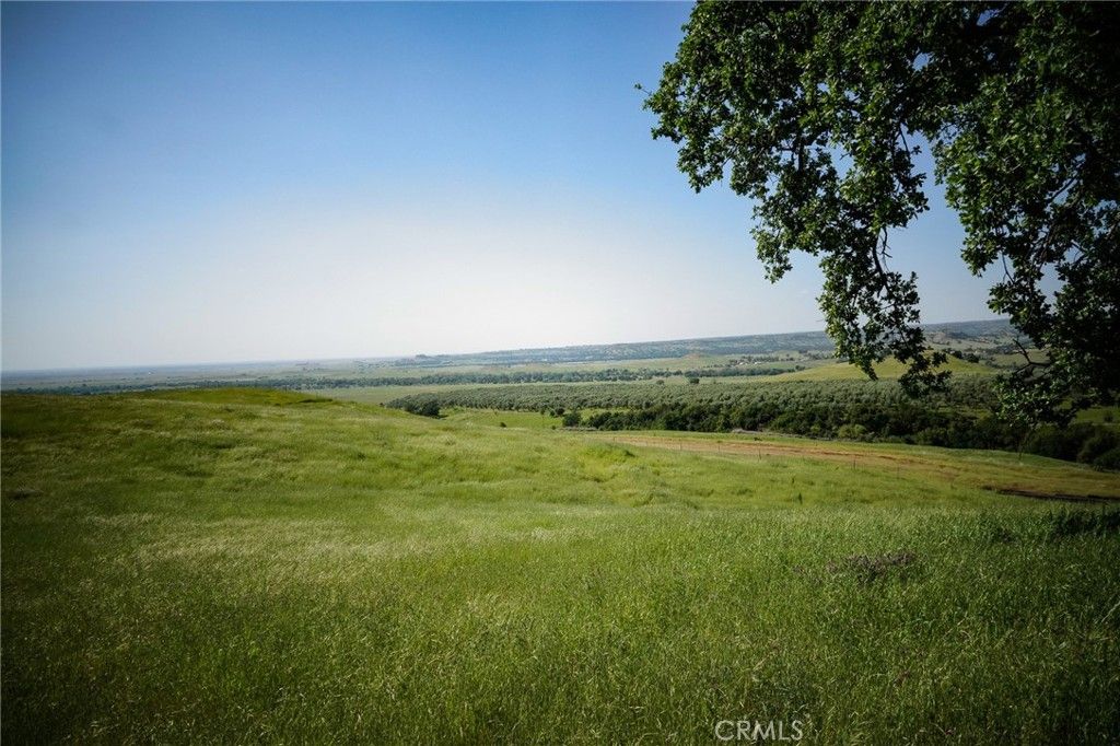 listing image 130726505553499395365