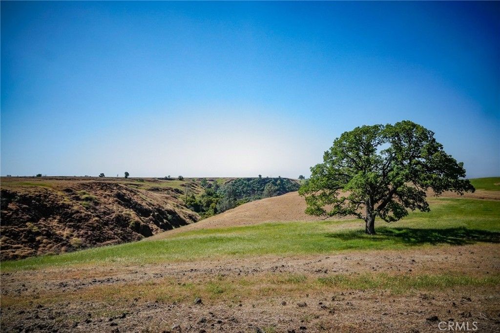listing image 130721998234092746596