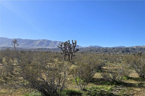 Photo of 105 th E Ave V8 & 106th E, Pearblossom, CA 93553 (MLS # SR26022247)
