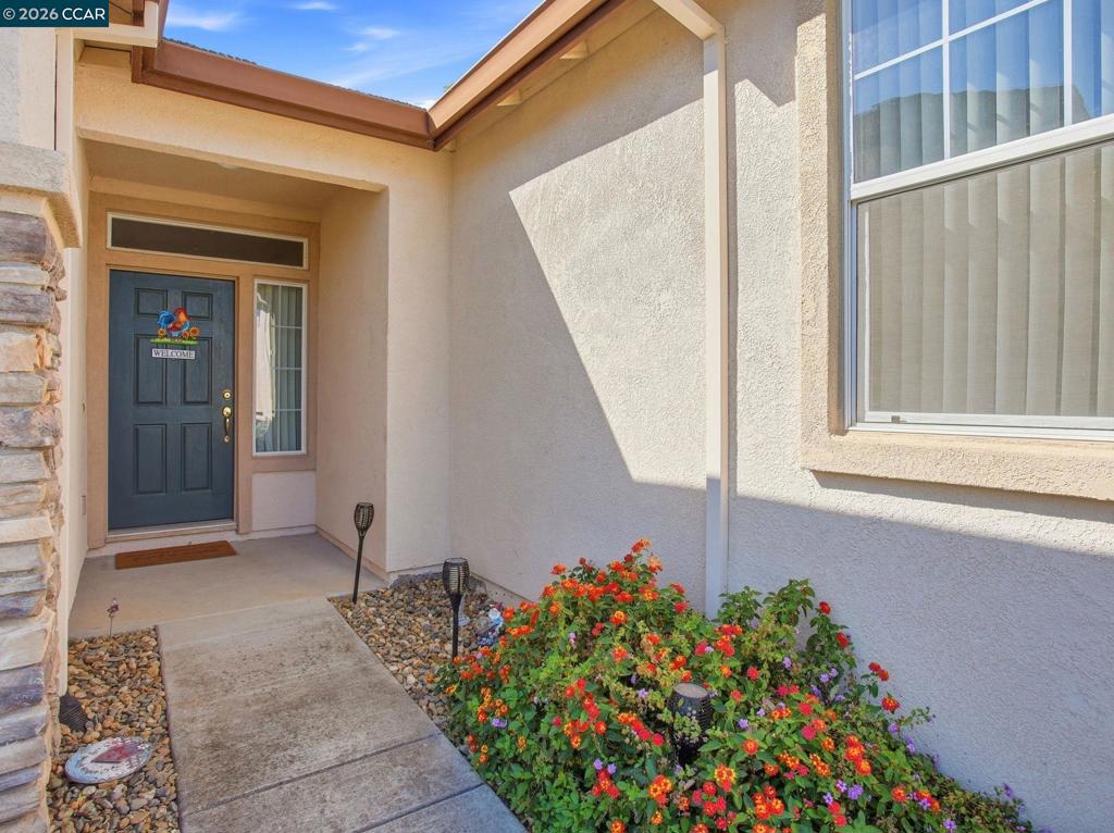 407 Branchwood Dr