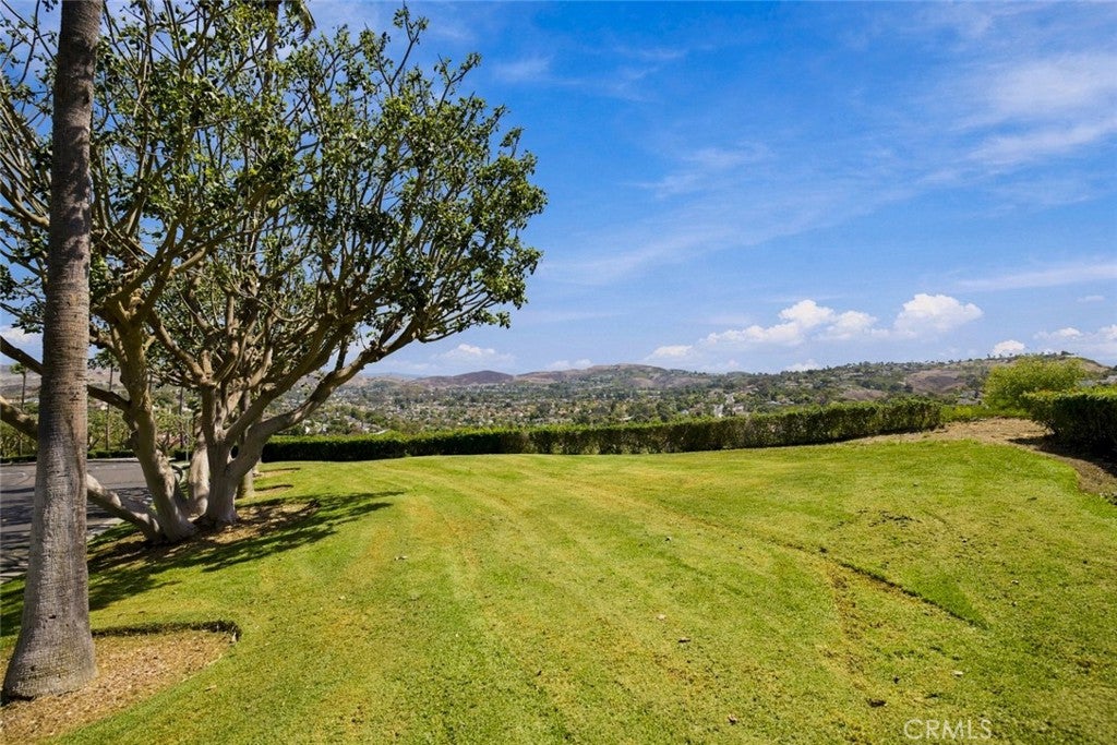 107 Arista, San Clemente CA 92673 - Photo 45