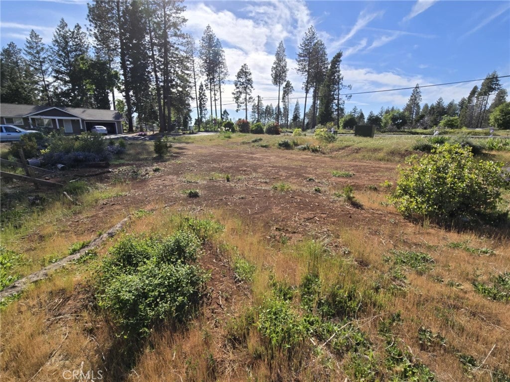 6342 Ponderosa Way