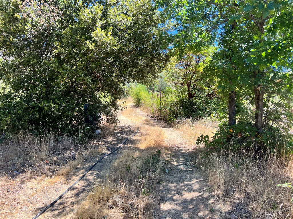 Located down a private drive with views of meadow and Cobb mountain this property consists of 3 parcels totaling approximately 1 acre. One parcel once had a small cabin on it, currently there is remnants of the cabin. Seller says there was never septic for the cabin.