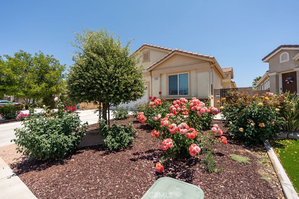 30326 Coralium Way