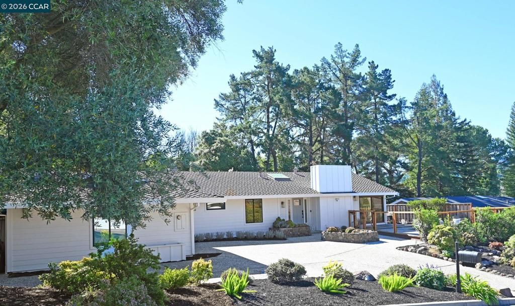 Photo of 46 Tam O Shanter Rd Rd, Alamo, CA 94507 (MLS # 41128482)