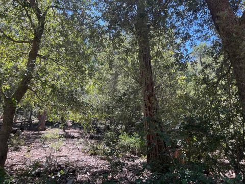 Photo of 0 Middleridge Drive, Idyllwild, CA 92549 (MLS # 219145592DA)