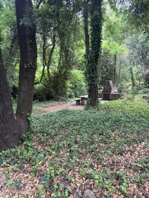 14251 Big Basin Way