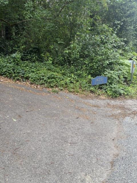 Photo of 14251 Big Basin Way Way, Boulder Creek, CA 95006 (MLS # ML82061978)