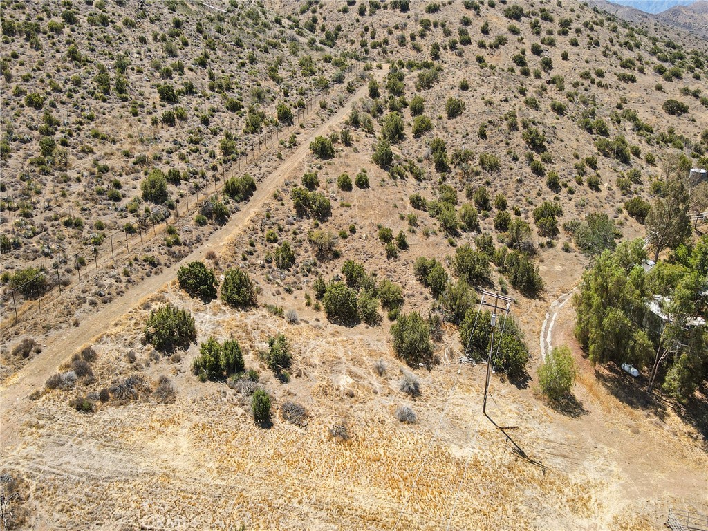 Custom Acton (CACTO) - Residential