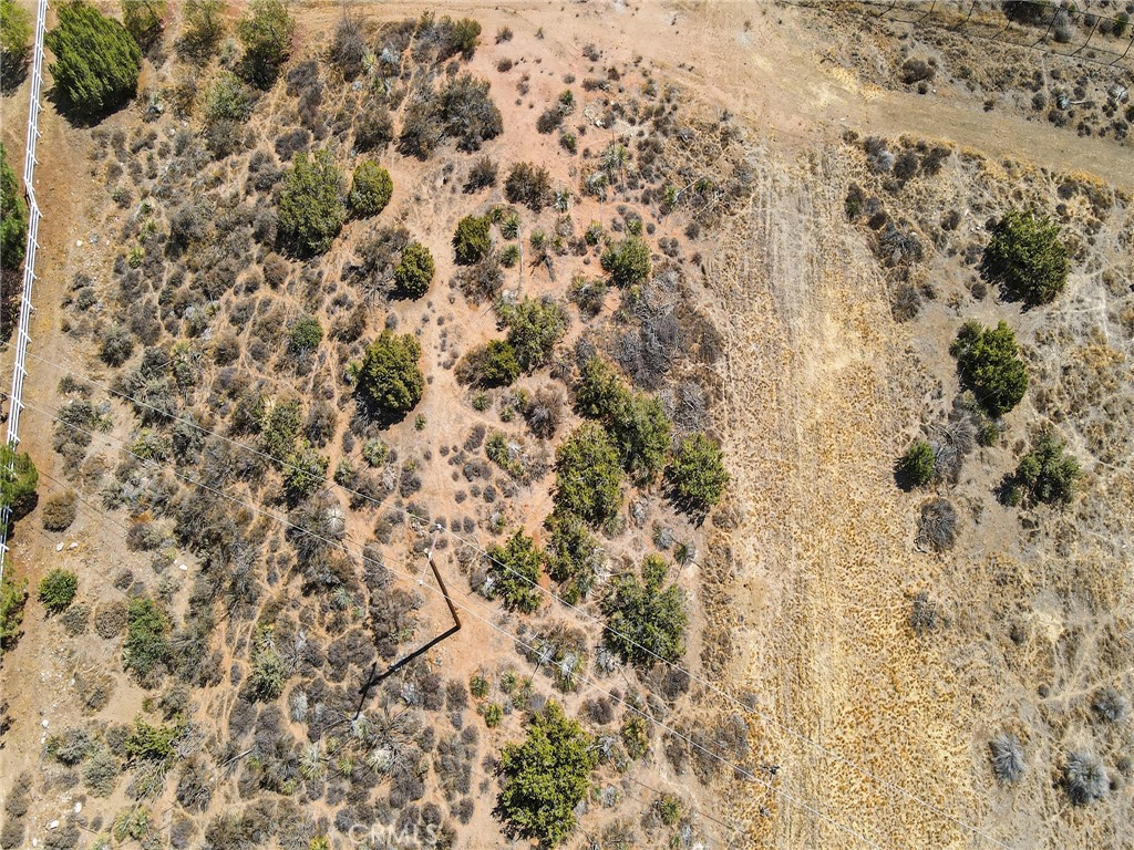 Custom Acton (CACTO) - Residential