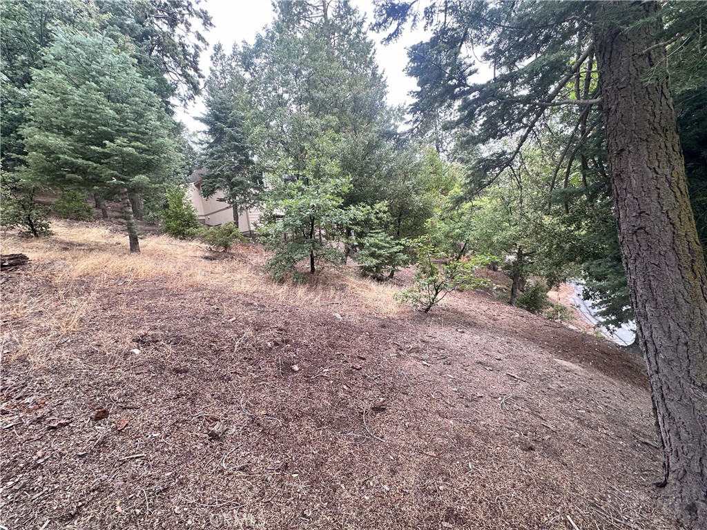 Twin Peaks (TWIN) - Residential