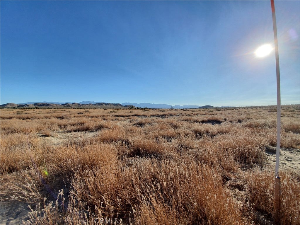 2 AC Near 150th Street