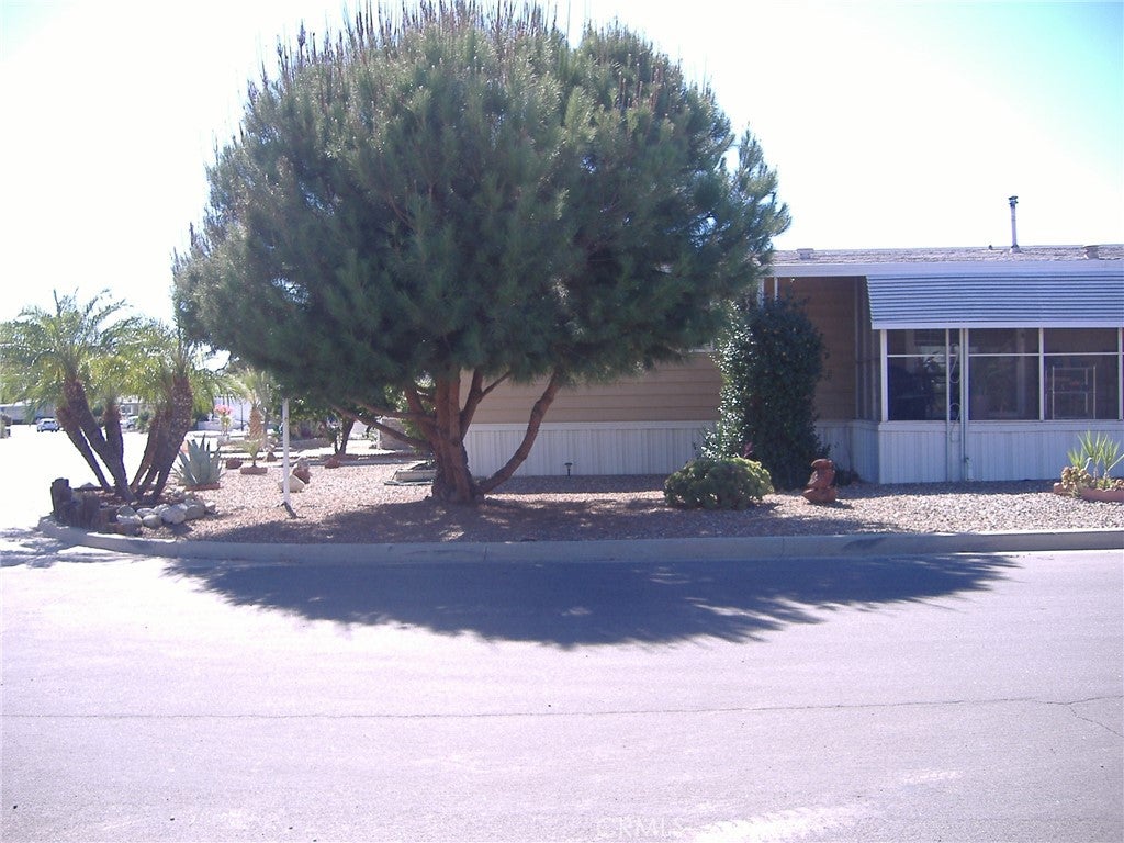 30678 Butia Palm
