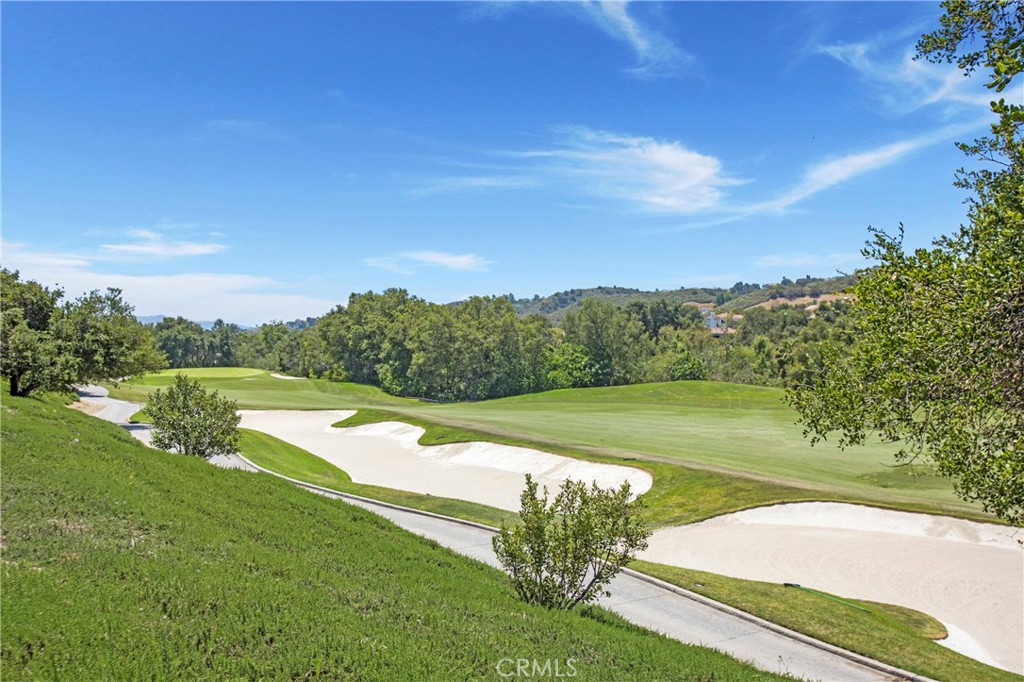 15 Canada Oaks