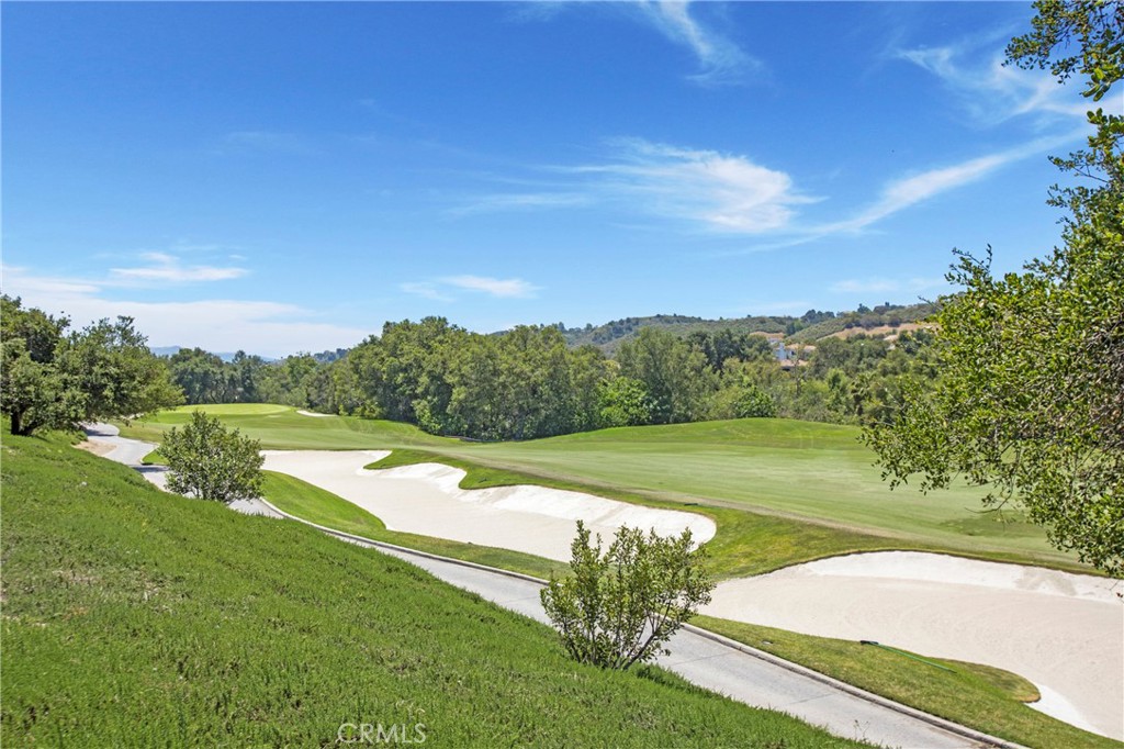 15 Canada Oaks