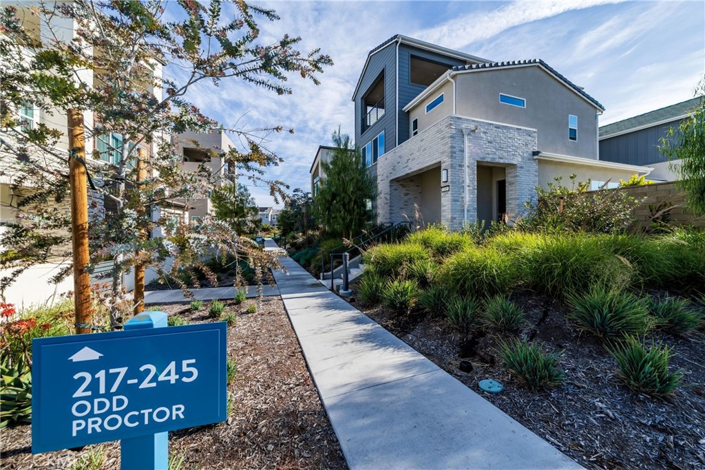 241 Proctor