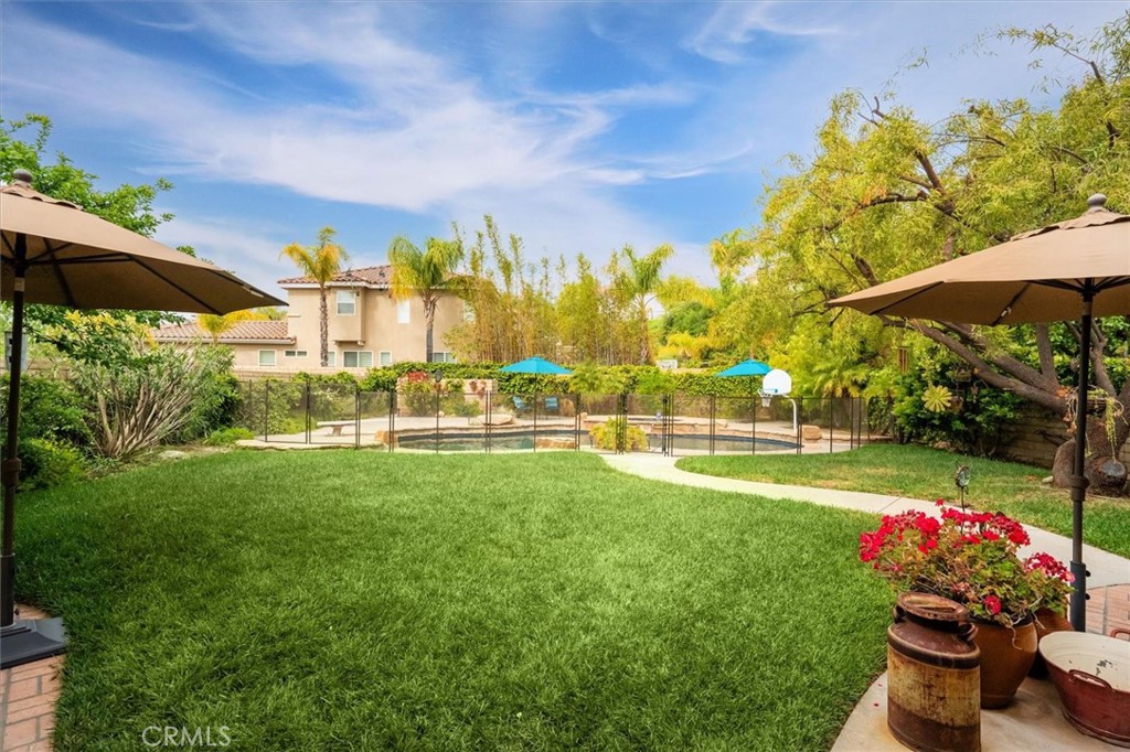 28433 Pinewood Court