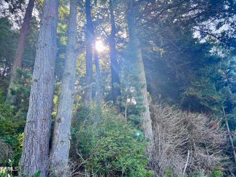 Photo of 15301 Forest View Road, Manchester, CA 95459 (MLS # C1-11399)