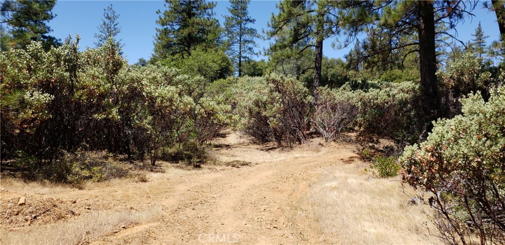 0 Lumberjack Road