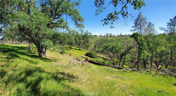 15687 STAGECOACH RD, CORNING, CA 96021 - Image a3171a8cbebdfd301fadf409e6b646a4/176000474