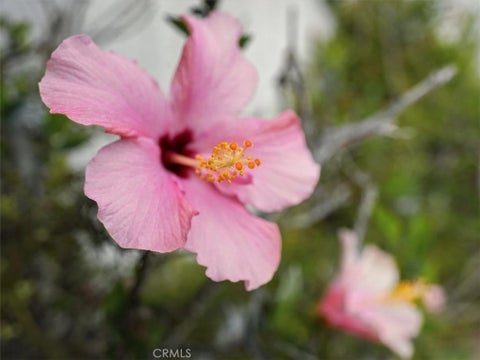 Tiny photo for 90 Villa Court, Pismo Beach, CA 93449 (MLS # SC26158379)