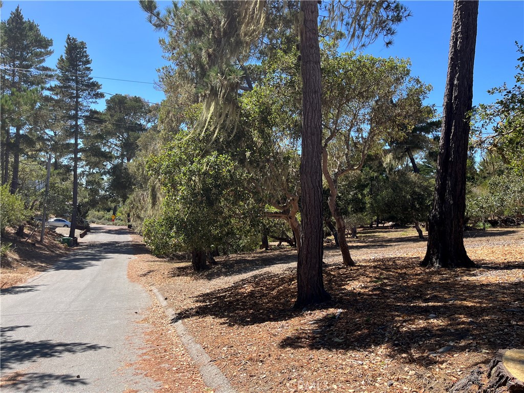 Cambria Pines Estates - Land