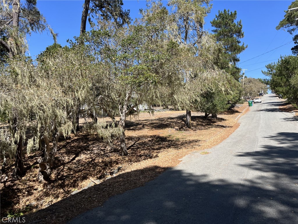 Cambria Pines Estates - Land