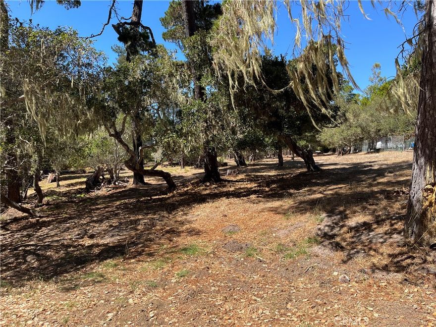 0.4-acre (17,500 sq ft), level, treed site at the end of a quiet cul-de-sac, suitable for a future build, though a building moratorium is currently in place. The property is in the Cambria Pines Estates area and is near the Fiscalini Ranch Preserve and a short distance to the beach. Great opportunity for long-term investment. Visit cambriacsd.org and www.slocounty.ca.gov.for more information regarding the water moratorium future building potential.