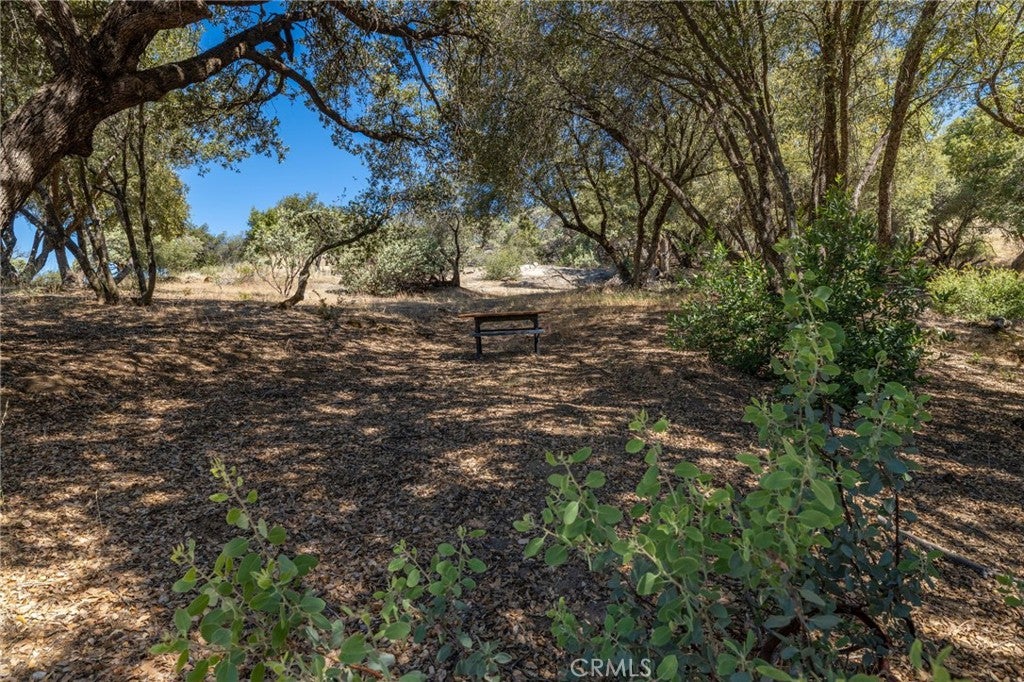 149 Acres Old Yosemite Road