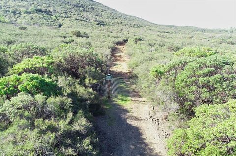 Photo of 24255 Morgan Valley Rd, Lower Lake, CA 95457 (MLS # LC26061753)