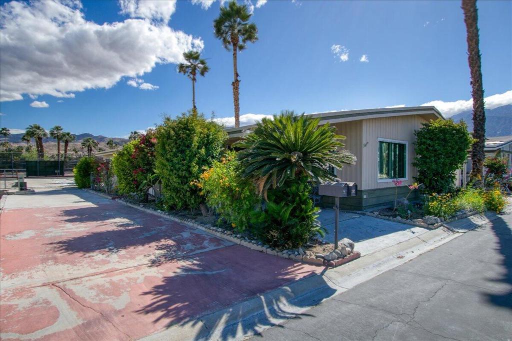282 Saguaro Dr. Drive