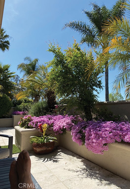 Bluffs Original (BORI) - Residential