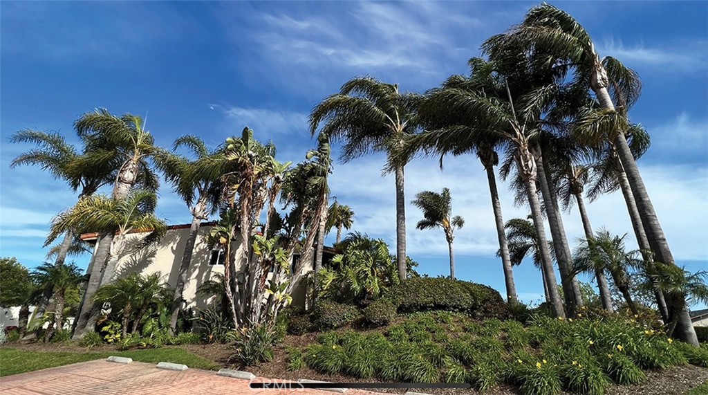Bluffs Original (BORI) - Residential